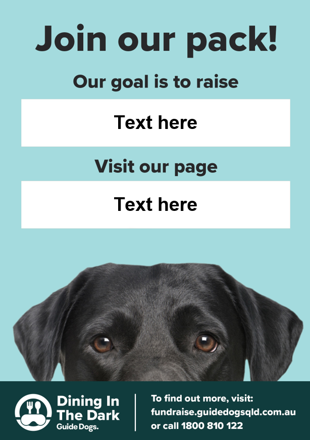 DITD Fundraising Poster 2