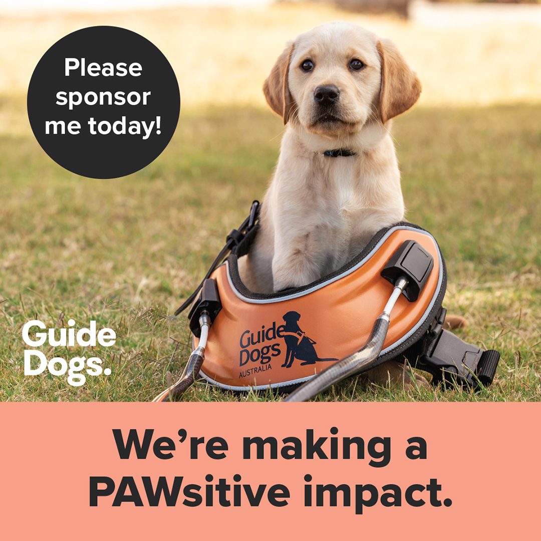 Social Tile - Pawsitive Impact