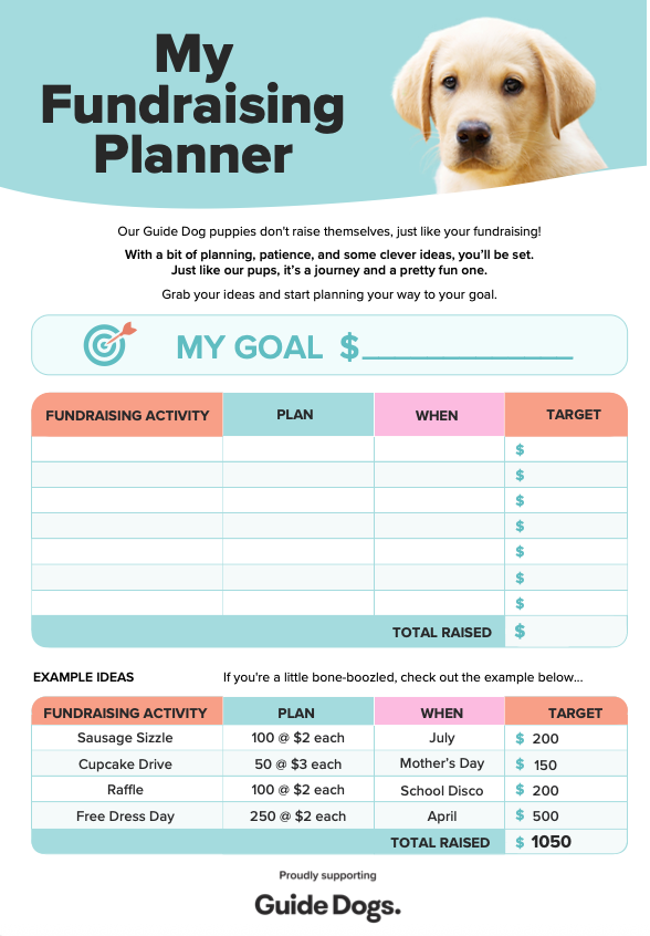 My Fun-draising Planner